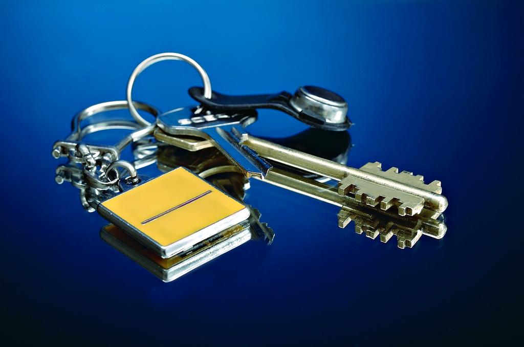 Customer support icon